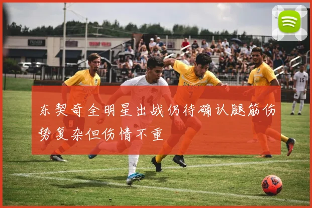 东契奇全明星出战仍待确认腿筋伤势复杂但伤情不重